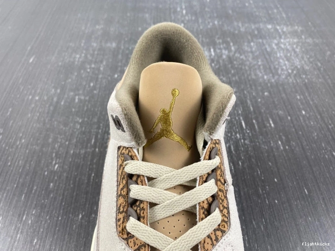 CT8532-102 3 Palomino Jordan Air 1010